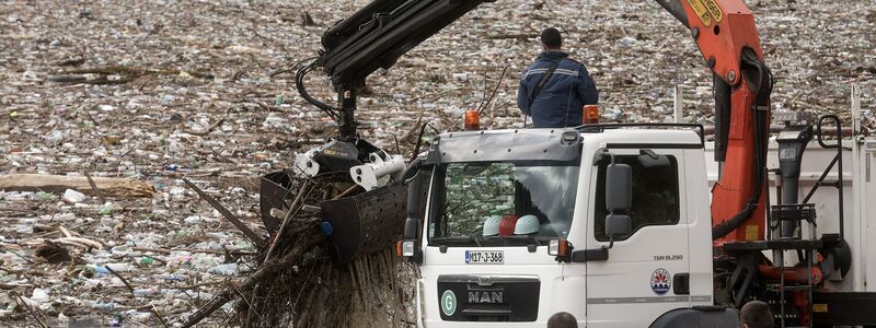 Der Verlust biologischer Vielfalt zählt einem aktuellen Weltbericht zufolge zu den größten Bedrohungen für die Wirtschaft. - Foto: Armin Durgut/AP/dpa