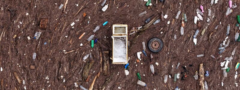 Als eine wichtige Maßnahme wird von IPBES genannt, dass Unternehmen ihre Auswirkungen und Abhängigkeiten öffentlich machen. - Foto: Armin Durgut/AP/dpa
