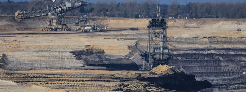 Aktuell erwähnen weniger als ein Prozent der börsennotierten Unternehmen in ihren Berichten ihre Auswirkungen auf die Biodiversität, hieß es.  - Foto: Oliver Berg/dpa