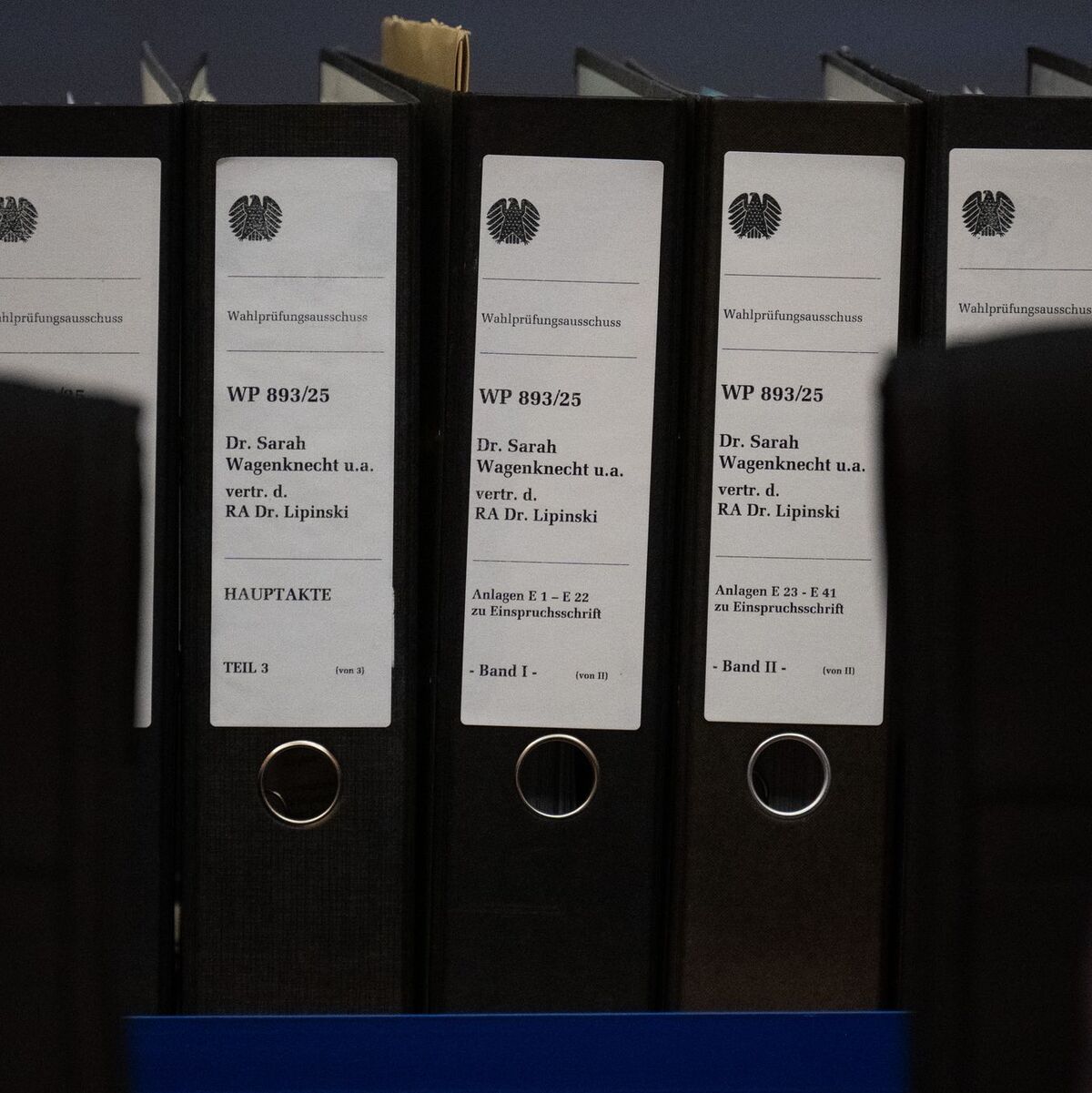 Das Bündnis Sahra Wagenknecht hat sehr viel Material für die Einsprüche gegen das Ergebnis der Bundestagswahl zusammengetragen.  - Foto: Sebastian Christoph Gollnow/dpa