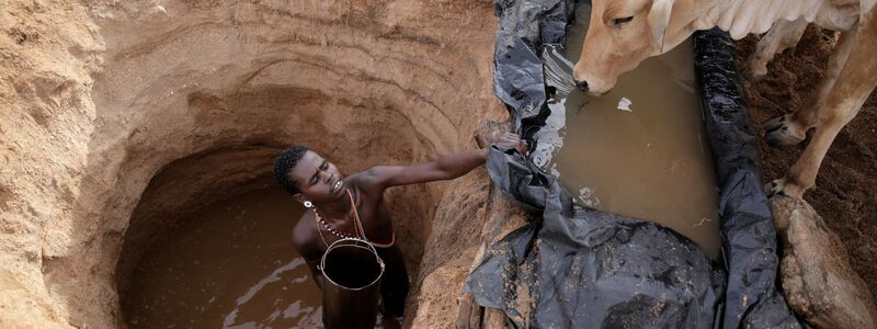 Ein Viehhirte vom Volk der Samburu im Norden Kenias tränkt Rinder (Archivbild) - Foto: Brian Inganga/AP/dpa