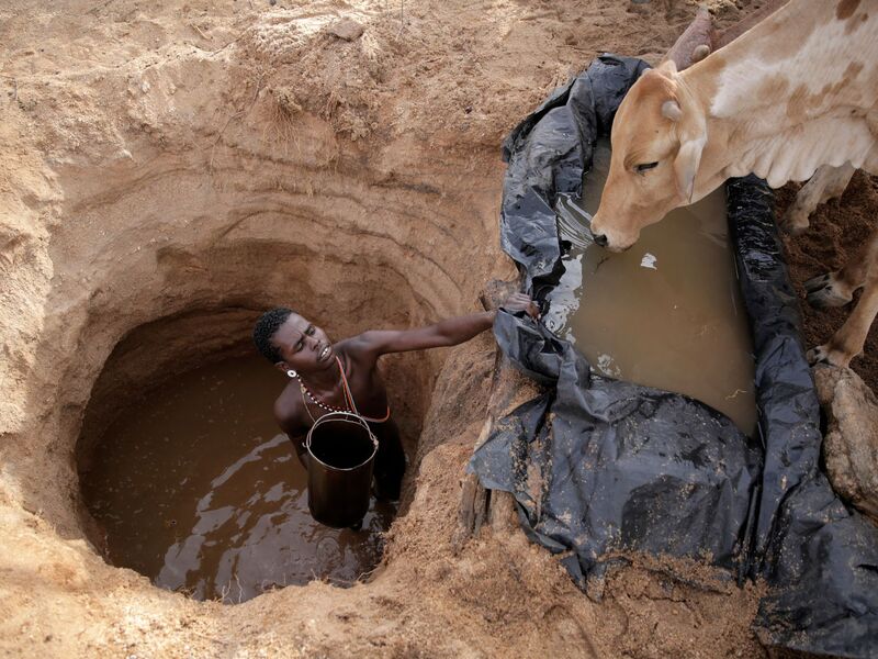 Ein Viehhirte vom Volk der Samburu im Norden Kenias tränkt Rinder (Archivbild) - Foto: Brian Inganga/AP/dpa
