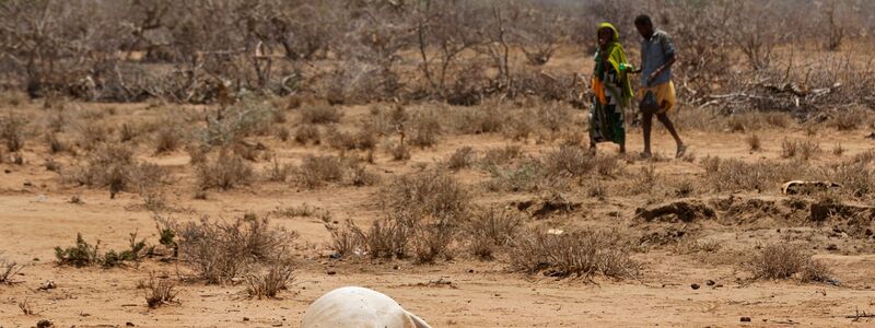 Dürren treten in Ostafrika und am Horn von Afrika häufiger und in kürzeren Abständen auf. (Archivbild) - Foto: Ben Curtis/dpa