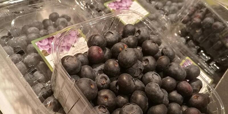 Heidelbeeren (Archiv) - Foto: via dts Nachrichtenagentur