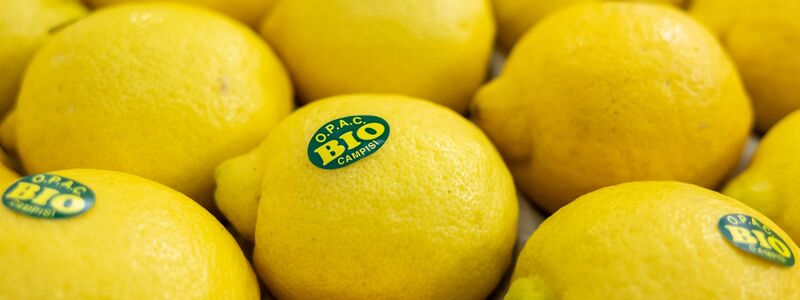 In Nürnberg eröffnet die weltweit größte Messe der Biobranche. Produkte aus nachhaltigem Anbau boomen. (Archivbild) - Foto: Daniel Karmann/dpa