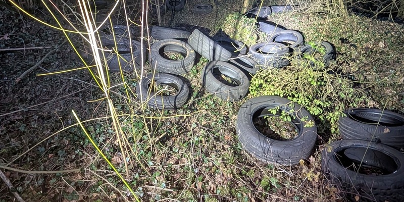 POL-MA: Bammental/Rhein-Neckar-Kreis: Unbekannte entsorgen Altreifen in der Natur - Zeugenaufruf - Foto: presseportal.de