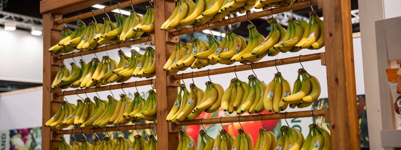 Die Biobranche boomt in Deutschland - doch die Landwirte kommen mit dem Anbau kaum nach. - Foto: Daniel Vogl/dpa