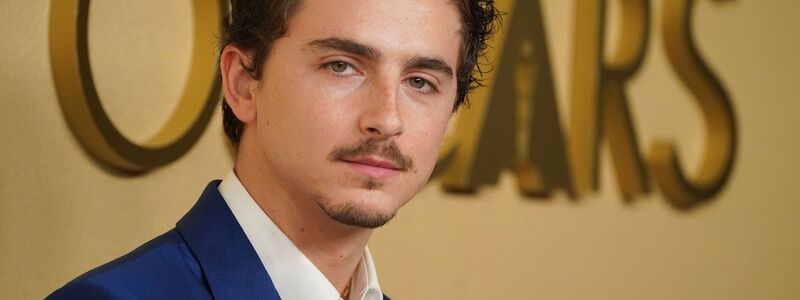 Schauspieler Timothée Chalamet ist zum dritten Mal für einen Oscar nominiert. - Foto: Jordan Strauss/Invision/AP/dpa