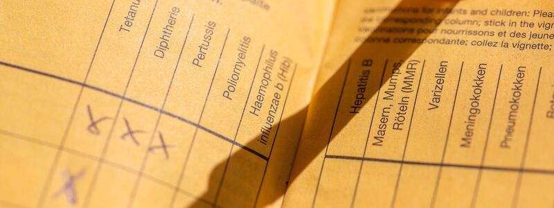 Impfpass mit Impfspalten und handschriftlichen Markierungen zu verschiedenen Schutzimpfungen - Foto: Fernando Gutierrez-Juarez/dpa
