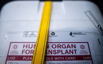 Kühlbox für eine Organspende: Ein zweijähriger Junge kämpft in Neapel um sein Leben. Nach einem Transplantationsfehler wird europaweit nach einem passenden Spenderherz gesucht. (Archivbild) - Foto: Sebastian Gollnow/dpa