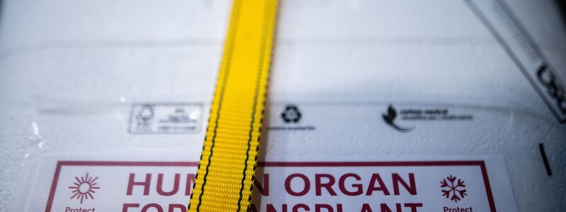 Kühlbox für eine Organspende: Ein zweijähriger Junge kämpft in Neapel um sein Leben. Nach einem Transplantationsfehler wird europaweit nach einem passenden Spenderherz gesucht. (Archivbild) - Foto: Sebastian Gollnow/dpa