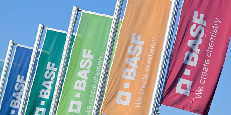Der Bereich Global Business Services beschäftigt laut BASF rund 8.500 Mitarbeitende. (Symbolbild) - Foto: Uwe Anspach/dpa