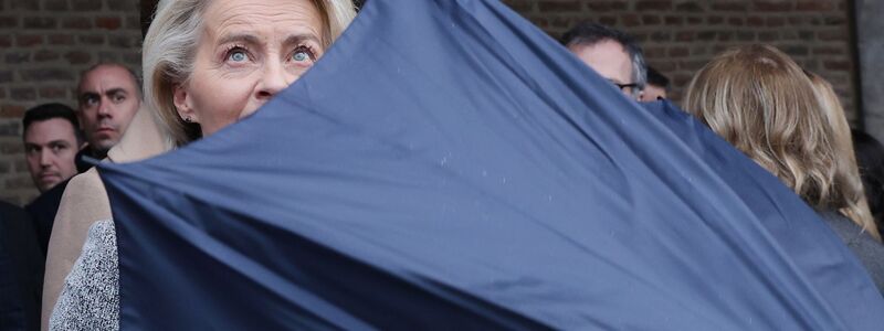 Kündigt an, dass Europa in diesem Jahr zu Wettbewerbsfähigkeit liefert: Ursula von der Leyen.  - Foto: Omar Havana/AP/dpa