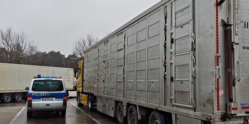 POL-H: Polizei überprüft Tiertransporte auf der Autobahn - Foto: presseportal.de
