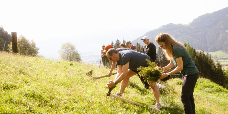 Bäume für die Zukunft - Foto: Bäume für Morgen über pressetext.de