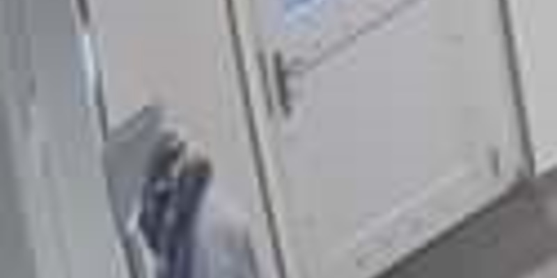 LPI-NDH: Öffentlichkeitsfahndung nach Einbrecher - Wer erkennt die abgebildete Person? - Foto: presseportal.de