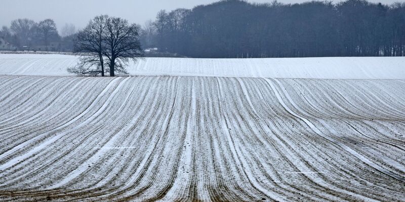 Schnee bis in die Niederungen ist am Samstag für die Mitte und den Süden vorhergesagt. - Foto: Bernd Wüstneck/dpa