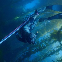 Neue Folgen der 3sat-Dokumentarfilmreihe DocuMe - Foto: presseportal.de