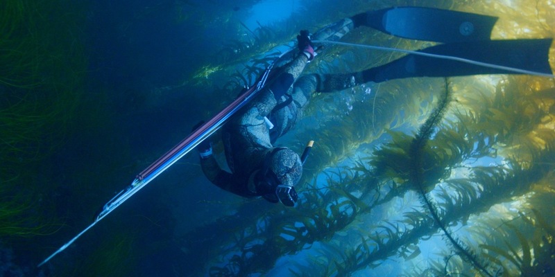 Neue Folgen der 3sat-Dokumentarfilmreihe DocuMe - Foto: presseportal.de