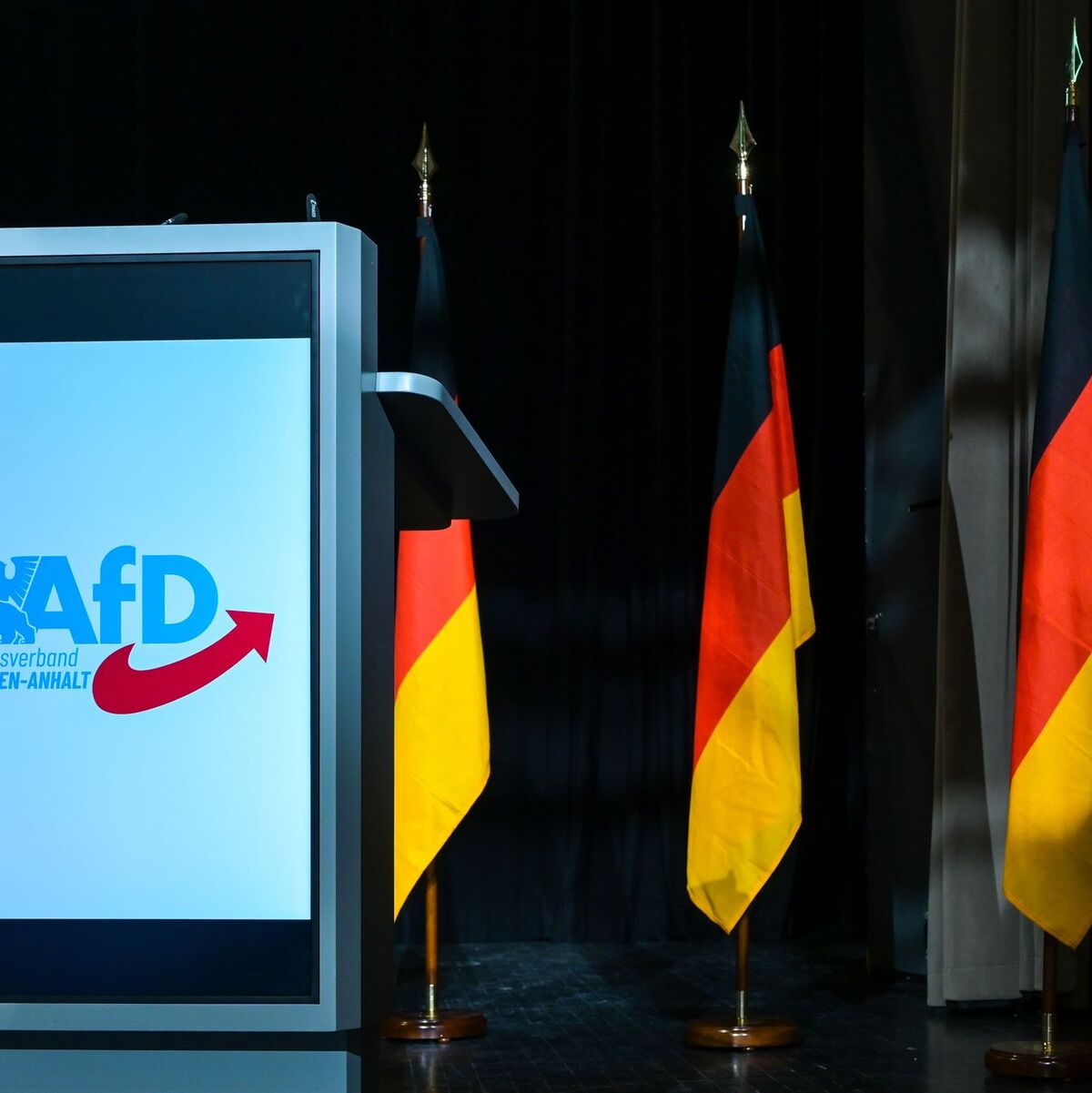 Insbesondere der AfD-Landesverband in Sachsen-Anhalt steht im Fokus. (Archivbild) - Foto: Heiko Rebsch/dpa