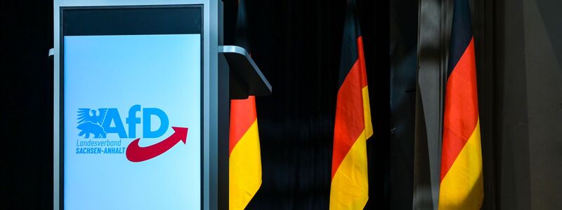 Insbesondere der AfD-Landesverband in Sachsen-Anhalt steht im Fokus. (Archivbild) - Foto: Heiko Rebsch/dpa