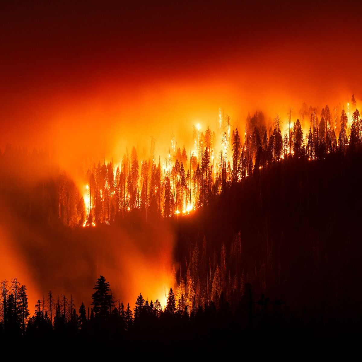 Nicht nur Verursacher, sondern auch Opfer der Klimakrise: Viele Regionen in den USA haben häufig mit Extremwetterereignissen wie Waldbränden zu kämpfen. Diese werden mit der Erderwärmung häufiger und heftiger. (Archivbild) - Foto: Noah Berger/FR34727 AP/AP/dpa