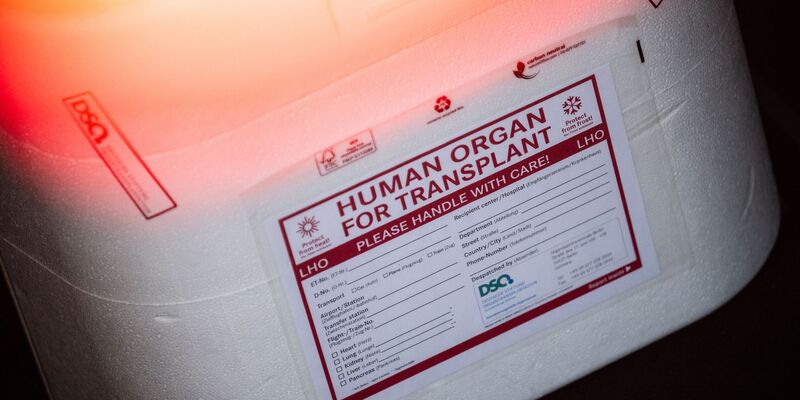 In Neapel braucht der kleine Junge dringend ein neues Spenderherz. (Symbolbild) - Foto: Sebastian Gollnow/dpa