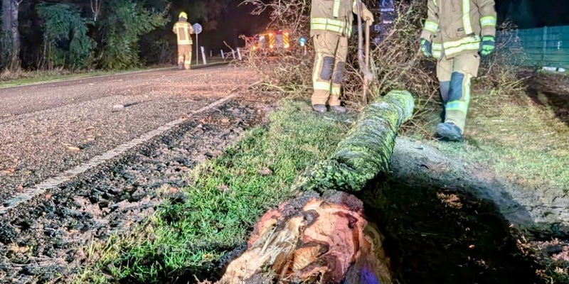 FW-OLL: PKW kollidiert mit Baum und bringt diesen zu Fall - Foto: presseportal.de