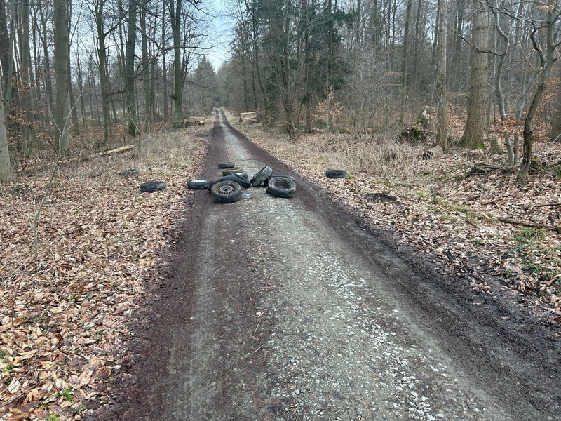 POL-PDMT: 15 Altreifen illegal im Wald entsorgt / Mögliche Augenzeugen gesucht - Foto: presseportal.de