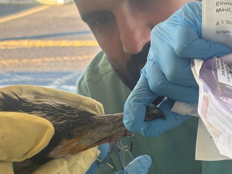 FW-HB: Ein tierischer Ausnahmefall in der Notaufnahme - Foto: presseportal.de