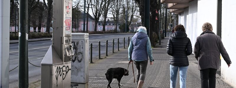 Eine schrottreife Telefonstele beim Schloss Benrath. - Foto: Wolf von Dewitz/dpa