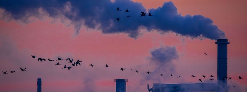 Die deutsche Industrie hat 2025 Umsatz eingebüßt (Archivbild) - Foto: Jens Büttner/dpa