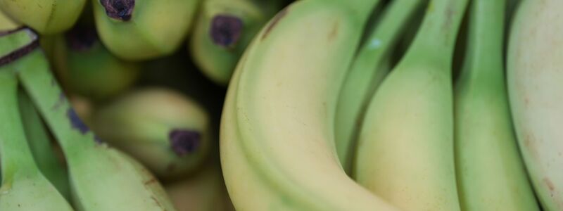 Preise für viele Lebensmittel haben im Januar angezogen. (Symbolbild) - Foto: Marcus Brandt/dpa