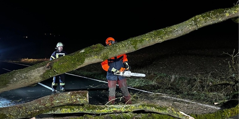 FW Ense: Baum auf Fahrbahn - Foto: presseportal.de
