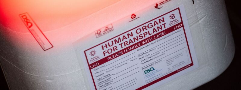Die Ersatzorgane werden in einer Kühlbox transportiert. (Symbolbild) - Foto: Sebastian Gollnow/dpa