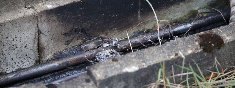 Bei der Bahn sorgten in der Vergangenheit eher analoge Angriffe auf die Schieneninfrastruktur für Probleme. (Archivbild) - Foto: Christoph Reichwein/dpa