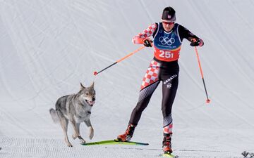 Langläuferin Tena Hadzic ließ sich vom überraschenden Verfolger nicht aus dem Konzept bringen. - Foto: Terje Pedersen/NTB/dpa