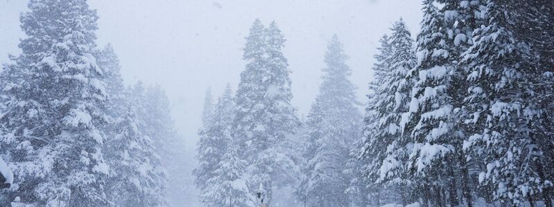 Acht zuvor vermisste Skifahrer sind nach dem Lawinenabgang tot gefunden worden - hieß es von den örtlichen Behörden. - Foto: Brooke Hess-Homeier/AP/dpa