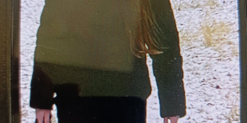 LPI-J: Suche nach 16-jährigem Mädchen in Jena - Foto: presseportal.de