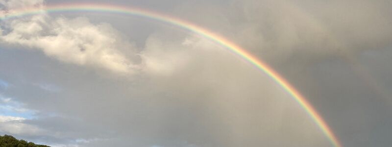 Auf dem Petersberg bei Bonn wurden früher die Gäste der Bundesregierung untergebracht - die Bonner Republik wird in der Rückschau oft verklärt. (Archivbild) - Foto: Federico Gambarini/dpa