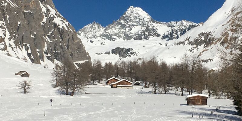 Die Frau erfror knapp unterhalb des Gipfels. (Archivbild) - Foto: Joachim Hauck/dpa