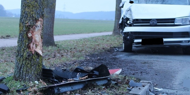 POL-MI: Autofahrer kracht gegen Straßenbaum - Foto: presseportal.de