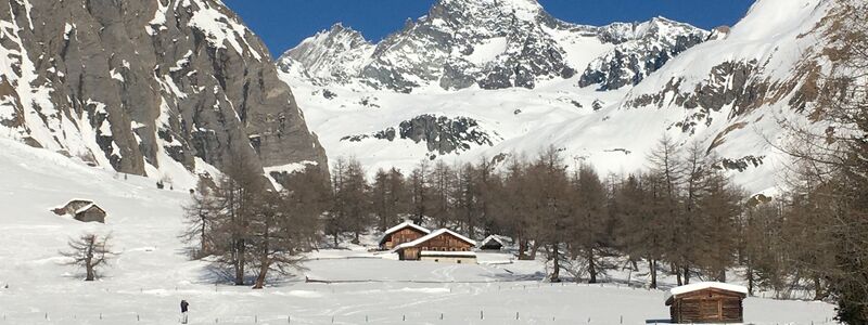 Die Frau erfror knapp unterhalb des Gipfels. (Archivbild) - Foto: Joachim Hauck/dpa