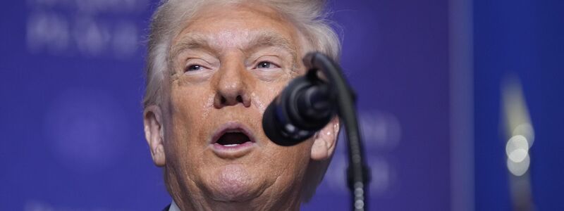 Trump lobte den von ihm gegründeten Friedensrat überschwänglich. - Foto: Mark Schiefelbein/AP/dpa