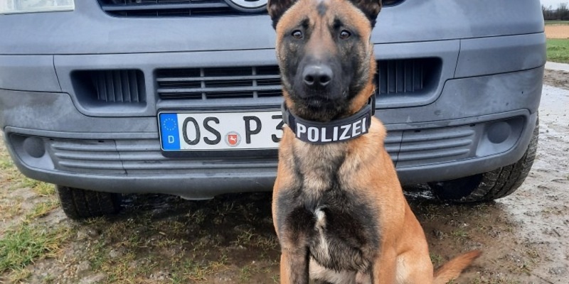 POL-OS: Osnabrück/Georgsmarienhütte/Hagen a.T.W.: Spektakulärer Ermittlungserfolg - Polizei deckt Heroinhandel in der Osnabrücker Innenstadt auf - Über 20 Abnehmer identifiziert - 46-Jähriger in U-Haft - Foto: presseportal.de