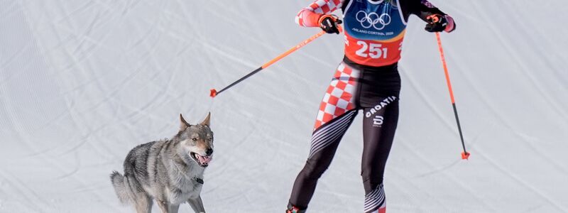 Ein Hund auf Abwegen sorgte für kuriose Szenen beim Langlauf. - Foto: Terje Pedersen/NTB/dpa
