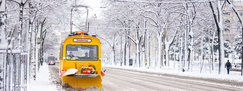 Die Straßen in Wien präsentieren sich weiß. - Foto: Georg Hochmuth/APA/dpa