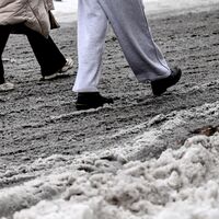 Nach Wochen mit Matsch und Kälte haben viele genug vom Winter. - Foto: Britta Pedersen/dpa