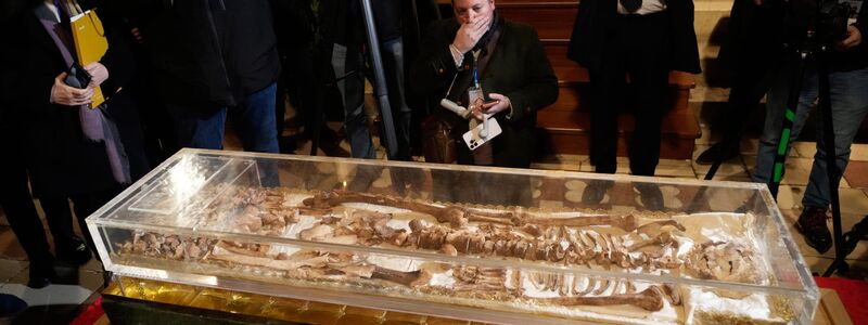 Assisi ist schon seit geraumer Zeit eines der beliebtesten christlichen Pilgerziele der Welt. - Foto: Gregorio Borgia/AP/dpa