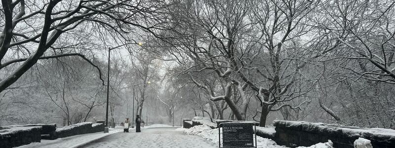 In New York legt der viele Schnee das öffentliche Leben lahm. - Foto: Christina Horsten/dpa